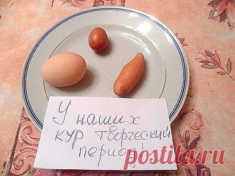 Искусство кулинарии