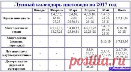 СРОКИ ПОСАДКИ РАСТЕНИЙ В 2017 ГОДУ.