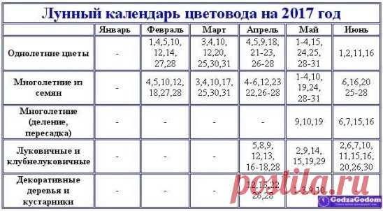 СРОКИ ПОСАДКИ РАСТЕНИЙ В 2017 ГОДУ.
