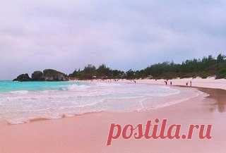 Один из самых красивых пляжей мира: Pink Sands Beach, остров Харбор, Багамские острова. И да, там действительно розовый песок!