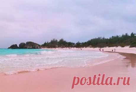 Один из самых красивых пляжей мира: Pink Sands Beach, остров Харбор, Багамские острова. И да, там действительно розовый песок!