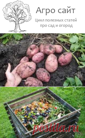 Какие минеральные вещества нужны растениям?