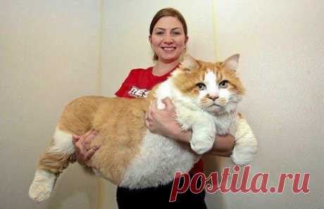 Нассал в тапки - затопил соседей снизу ))))