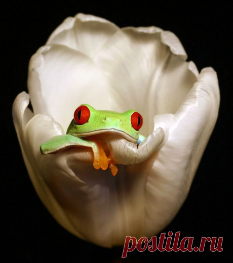 хх