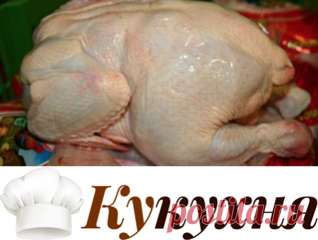 6 блюд из одной курицы: мастер-класс домашней экономии