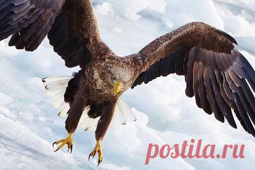 Google+