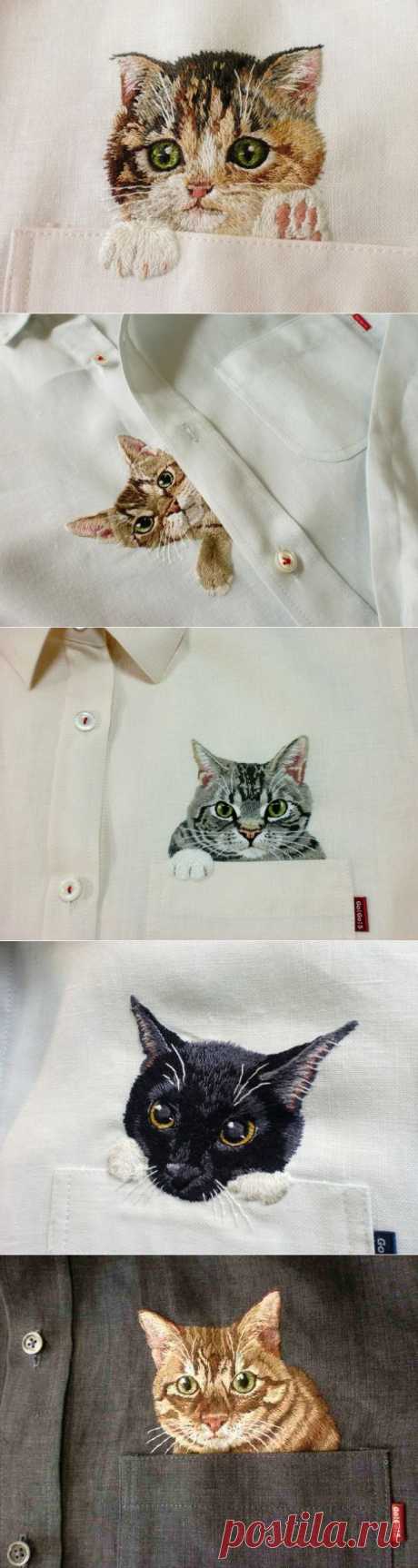 Дресс-кот
