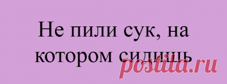 Не пили сук, на котором сидишь
Заботьтесь о себе, поскольку вход в духовность может быть только через тело. Поблагодарите свое тело, свой организм. Ваше тело — величайшее творение Природы. Чудо природы. Тело свое нужно любить, его надо уважать, тогда оно будет служить вам долго, а вы будете счастливы. Если вы живете в гармонии со своим телом, то оно будет исцеляться, выздоравливать, […]
Читай дальше на сайте. Жми подробнее ➡