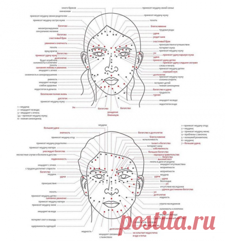 Значение родинок и их влияние на судьбу / Мистика