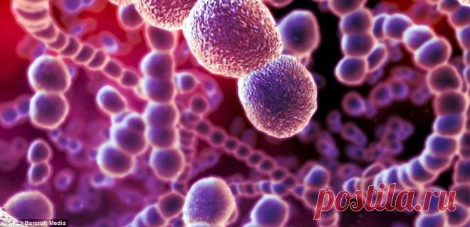 Удивительные изображения чужеродных форм жизни в организме человека