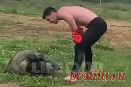 Служивший в армии боец MMA избил срочника для видео в Instagram. Боец MMA Асхаб Магомедов во время его службы в армии избивал и издевался над сослуживцем, снимал все происходящее на видео и публиковал, чтобы похвастаться, в Instagram. На кадрах видно, как молодой человек в боксерских перчатках бьет лежащего на земле человека и пинает его ногами, крича при этом: «Вставай!»