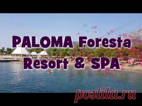 Обзор отеля PALOMA Foresta Resort & Spa. Выпуск №394