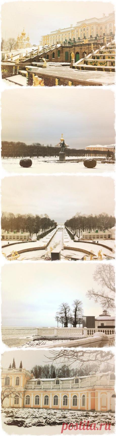Петергоф зимой.Петергоф зимой фотографии.