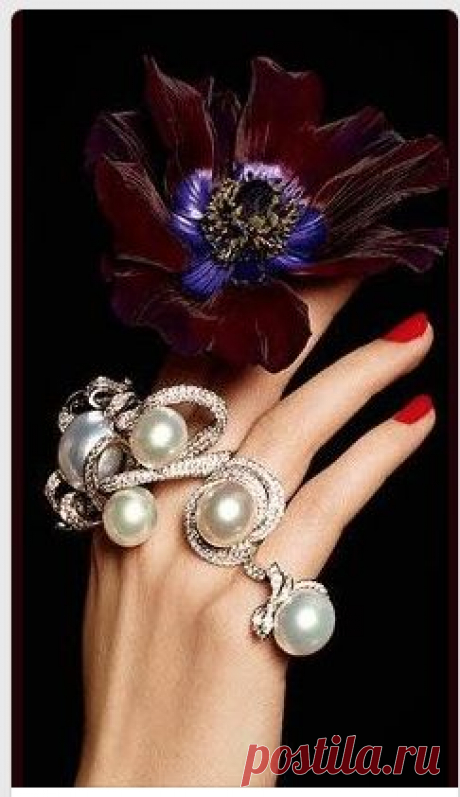 (42) Robert Wan, ring Desert Rose Tahitian pearl peacok orange reflection with 270 diamonds on yellow gold | Anelli | Роза Пустыни, Жемчуг и Таитянский …