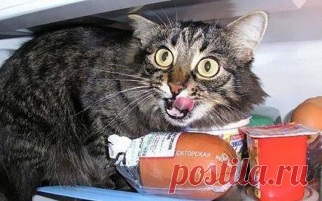 ИХ ПОЙМАЛИ С ПОЛИЧНЫМ ( 21 ФОТО)