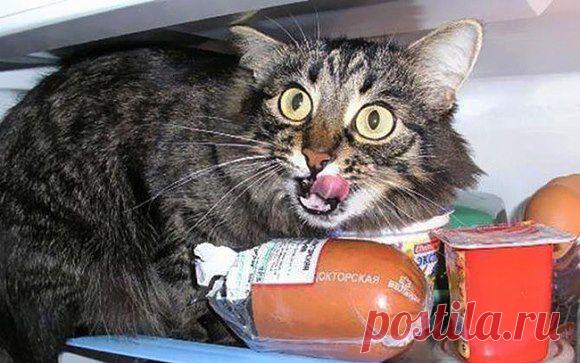 ИХ ПОЙМАЛИ С ПОЛИЧНЫМ ( 21 ФОТО)