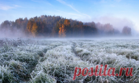 Река Свислочь. г. Минск. Начало октября. Фото: © Алексея Угальникова  / Октябрьское утро | National Geographic Россия