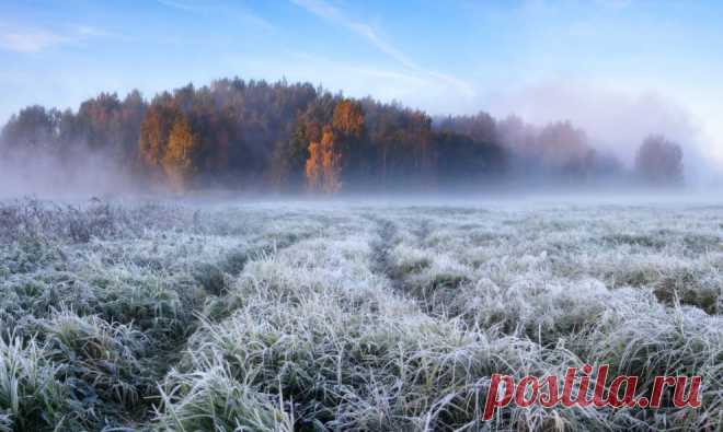 Река Свислочь. г. Минск. Начало октября. Фото: © Алексея Угальникова  / Октябрьское утро | National Geographic Россия