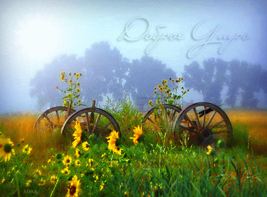 Zulya S - Google+