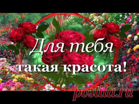 Для тебя красивые, лучшие пожелания и много прекрасных цветов!