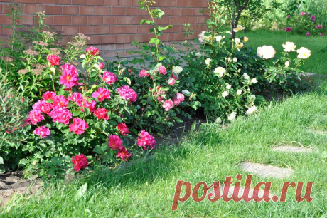 Благоустройство и ландшафтный дизайн дачного участка. Фото, советы и рекомендации