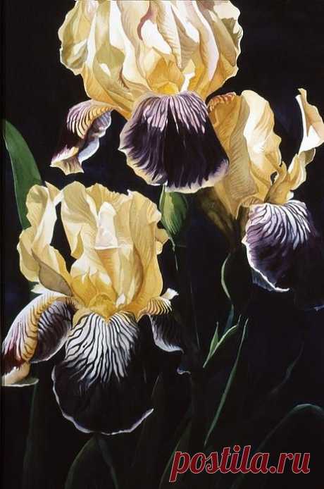 Alfred Ng WATERCOLOR - 
Источник:  Fine Art America  |  Pinterest • Всемирный каталог идей