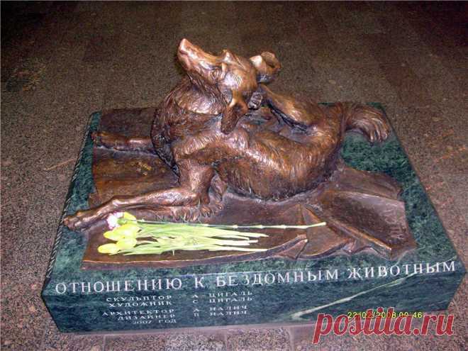Э.Асадов:Стихи о рыжей дворняге..