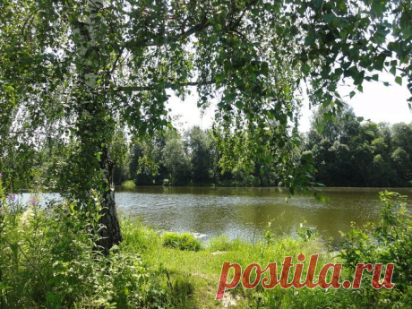 фото природы | Записи в рубрике фото природы | Дневник галина_любушкина