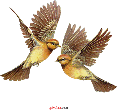 Мой Мир@Mail.Ru
