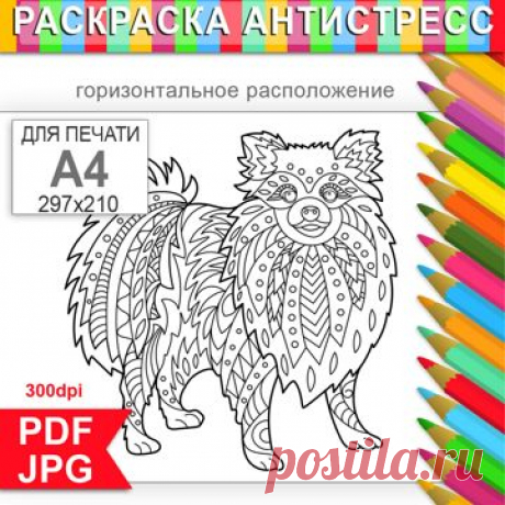 Страница раскраски для распечатки с обаятельным маленьким шпицем, понравится и детям, и взрослым https://digital.wildberries.ru/offer/67656