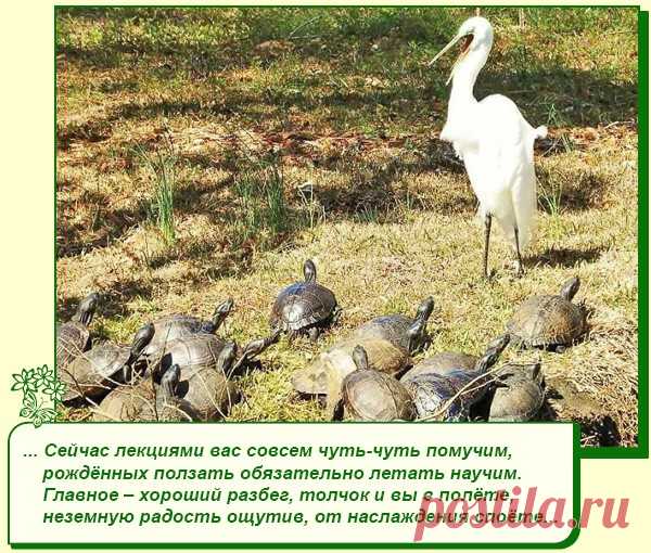 Хорошее настроение рядом