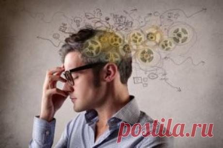 Тренируем мозг. Как сделать ум острее? | Полезные инструкции от aif.ru