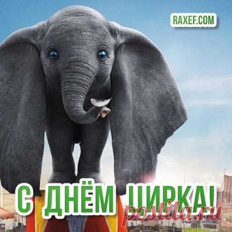 Дорогие цирковые,
Вы примите
поздравленья!
Пусть устои вековые -
Будут вам для
вдохновенья!
