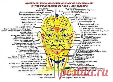Диагностика по лицу. | На пути к здоровью и самому себе... | postila.ru/Юра%20Вахрушев