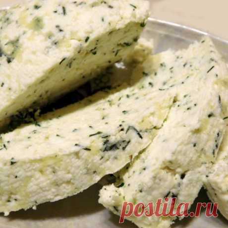 СЫР ДОМАШНИЙ – МОЙ ПЕРВЫЙ ОПЫТ