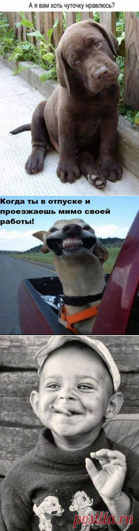 (86) Одесса! Шутит, смеется, прикалывается )