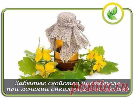 Правила здоровья и долголетия