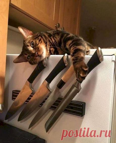 45828ab5.jpg (521×640)