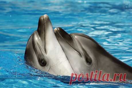 Фотографии loner ! - 655 фото в Моем Мире.