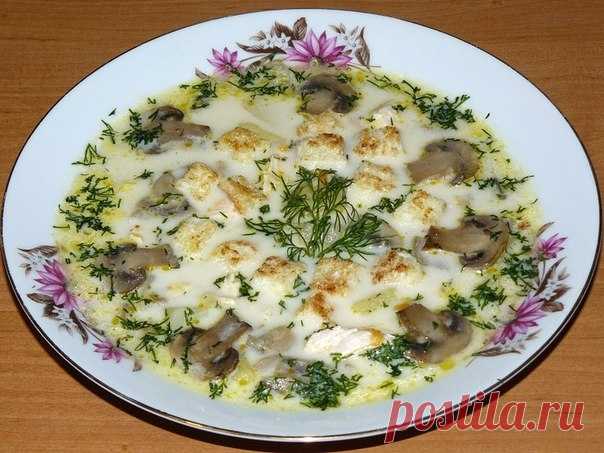 Сырный суп с грибами и курицей