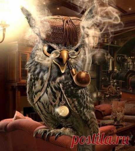 стимпанк картинки животные: 21 тыс изображений найдено в Яндекс.Картинках