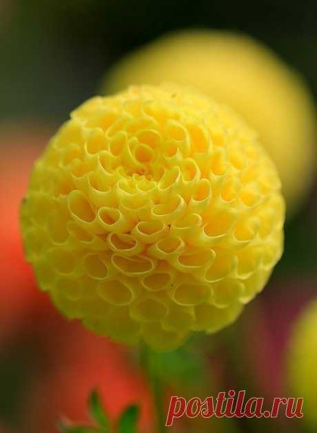 HAVE A NICE DAY From Pinterest.