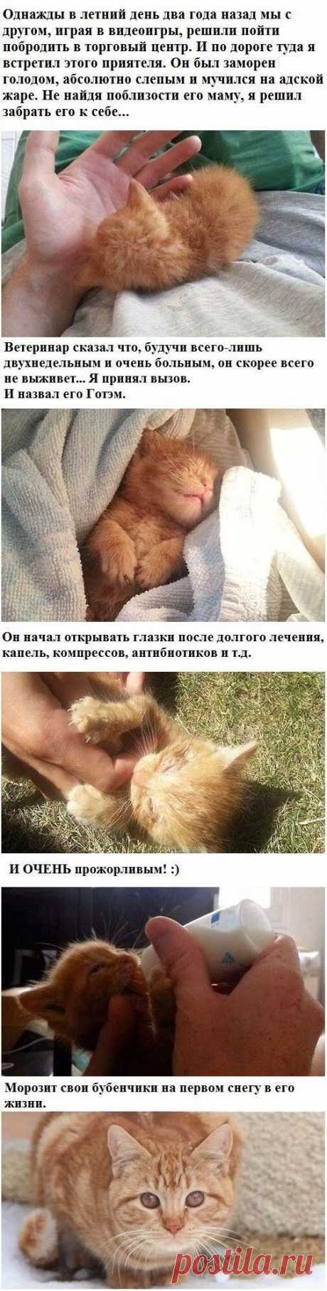 Пусть таких историй будет больше