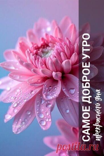 С добрым утром Привет Здрасте