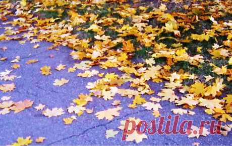 ВСЁ ЛУЧШЕЕ ИЗ YOU TUBE (16 плюс)
Надежда Неласова (Полевик)