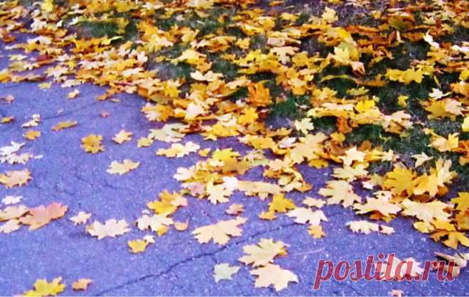 ВСЁ ЛУЧШЕЕ ИЗ YOU TUBE (16 плюс)
Надежда Неласова (Полевик)