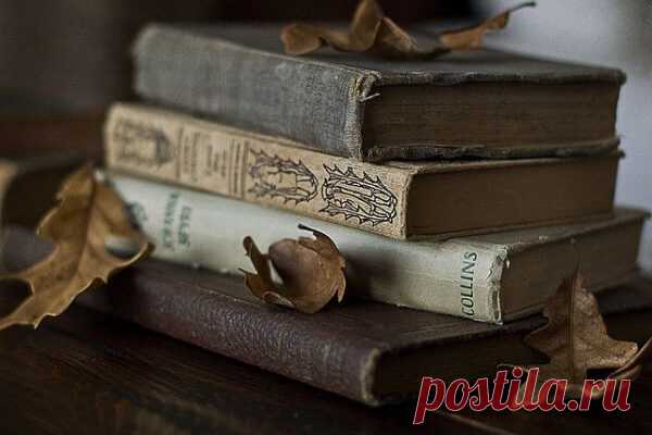 58 книг, которые научат тебя мыслить шире
58 книг, которые научат тебя мыслить шире 1. Данте Алигьери «Божественная комедия» 2. Аристотель «Политика» 3. Александр Афанасьев «Русские заветные сказки» 4. Ричард Бах «Чайка по имени Джонатан Ливингстон» 5. Александр Беляев «Продавец воздуха» 6. Энтон Бёрджесс «Заводной апельсин» 7. Михаил Булгаков «Великий канцлер» 8. Михаил Булгаков «Мастер и Маргарита» 9. Борис Васильев «В списках […]
Читай пост далее на сайте. Жми ⏫ссылку выше