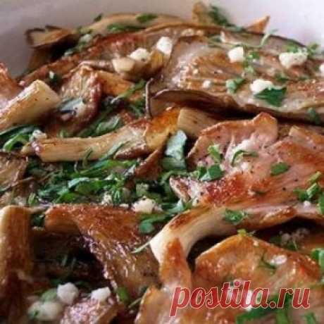 Как вкусно приготовить вешенки?    
  Благодаря ярко выраженному вкусу вешенки являются
одними из самых любимых, питательных и универсальных грибов.