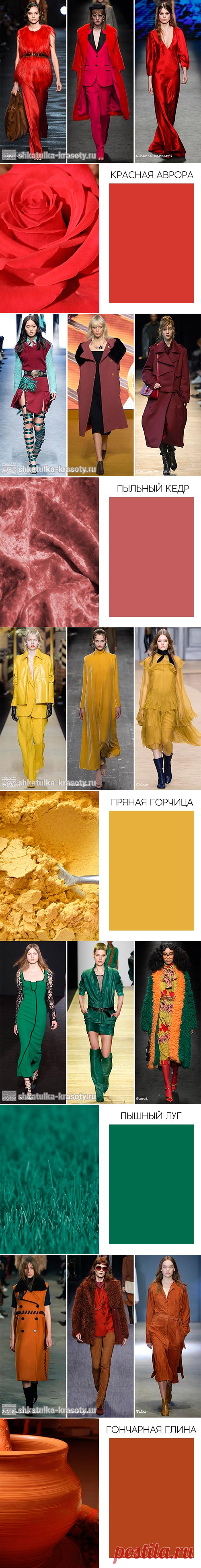 Модные цвета осень-зима 2016-2017 в одежде. Фото - Шкатулка красоты | Шкатулка красоты