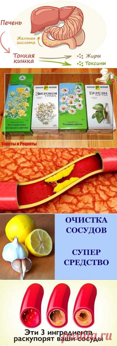 (49) Одноклассники